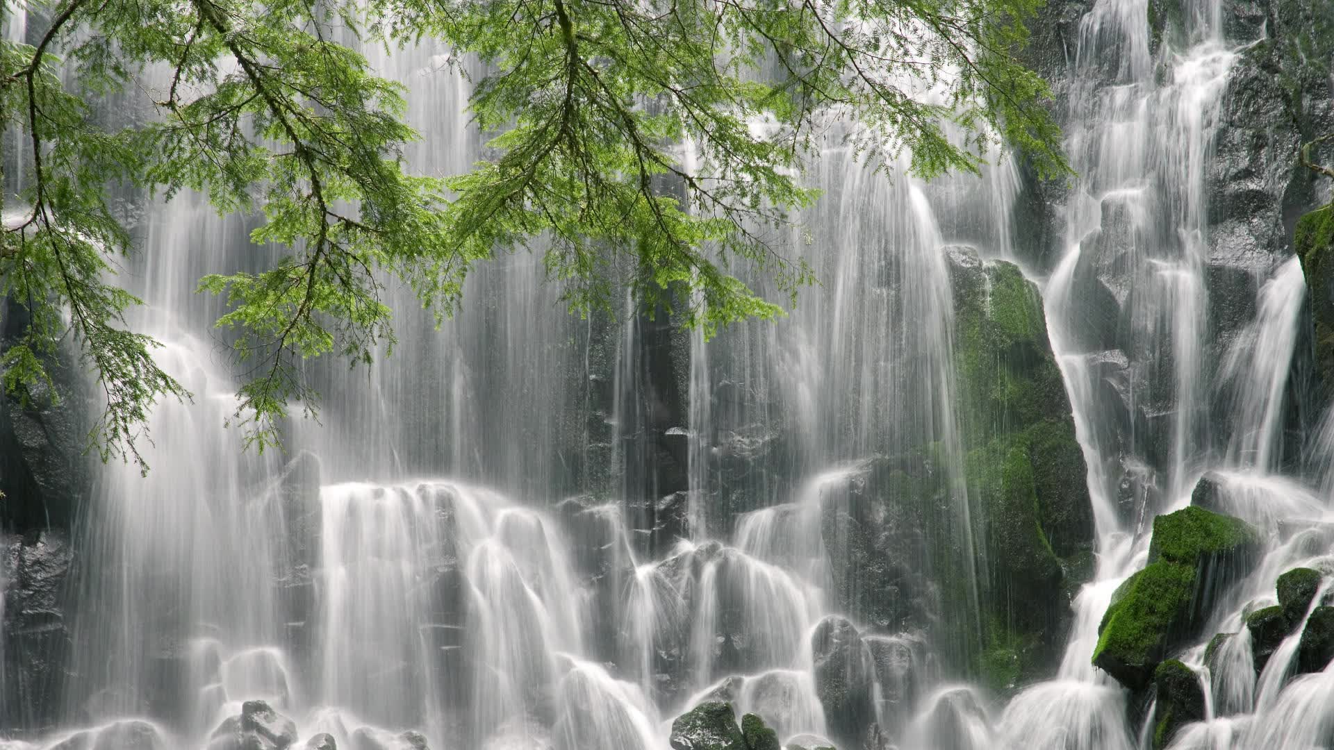 世界举重青年联赛选手技能测评体系上线,世界举重青年锦标赛